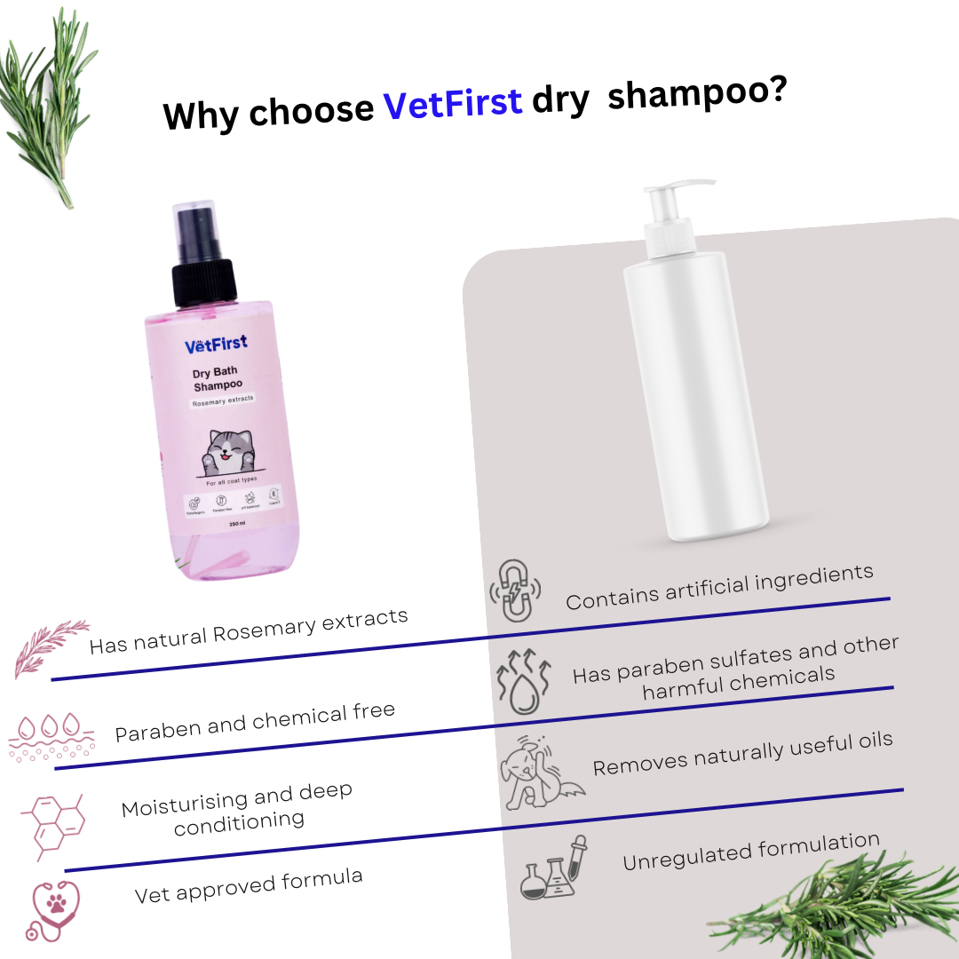 Cat Dry Bath Shampoo