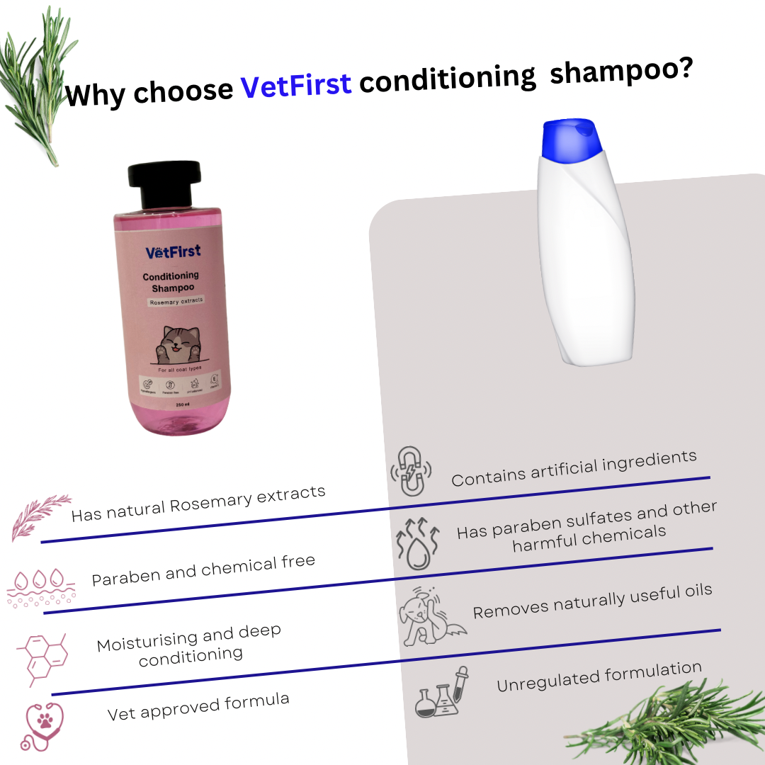 Cat Conditioning Shampoo
