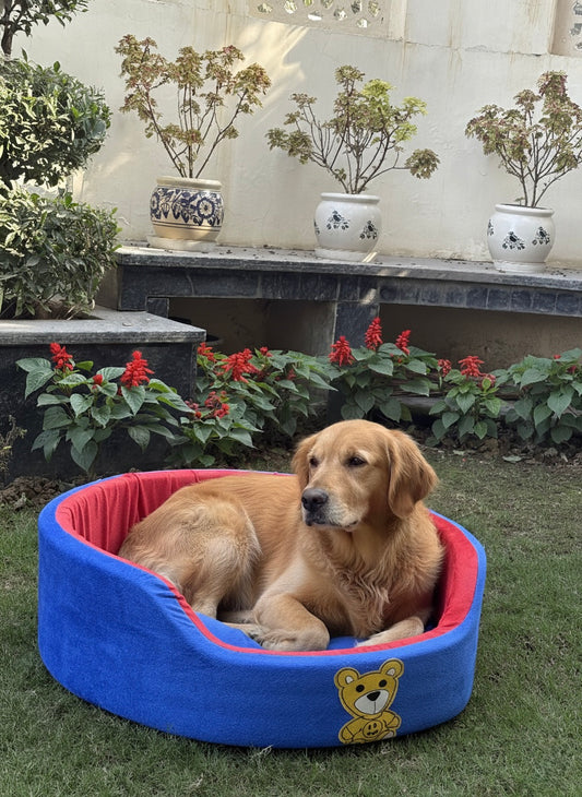 Plush Bolster Dog Bed for Medium Dogs – Soft & Supportive Lounger