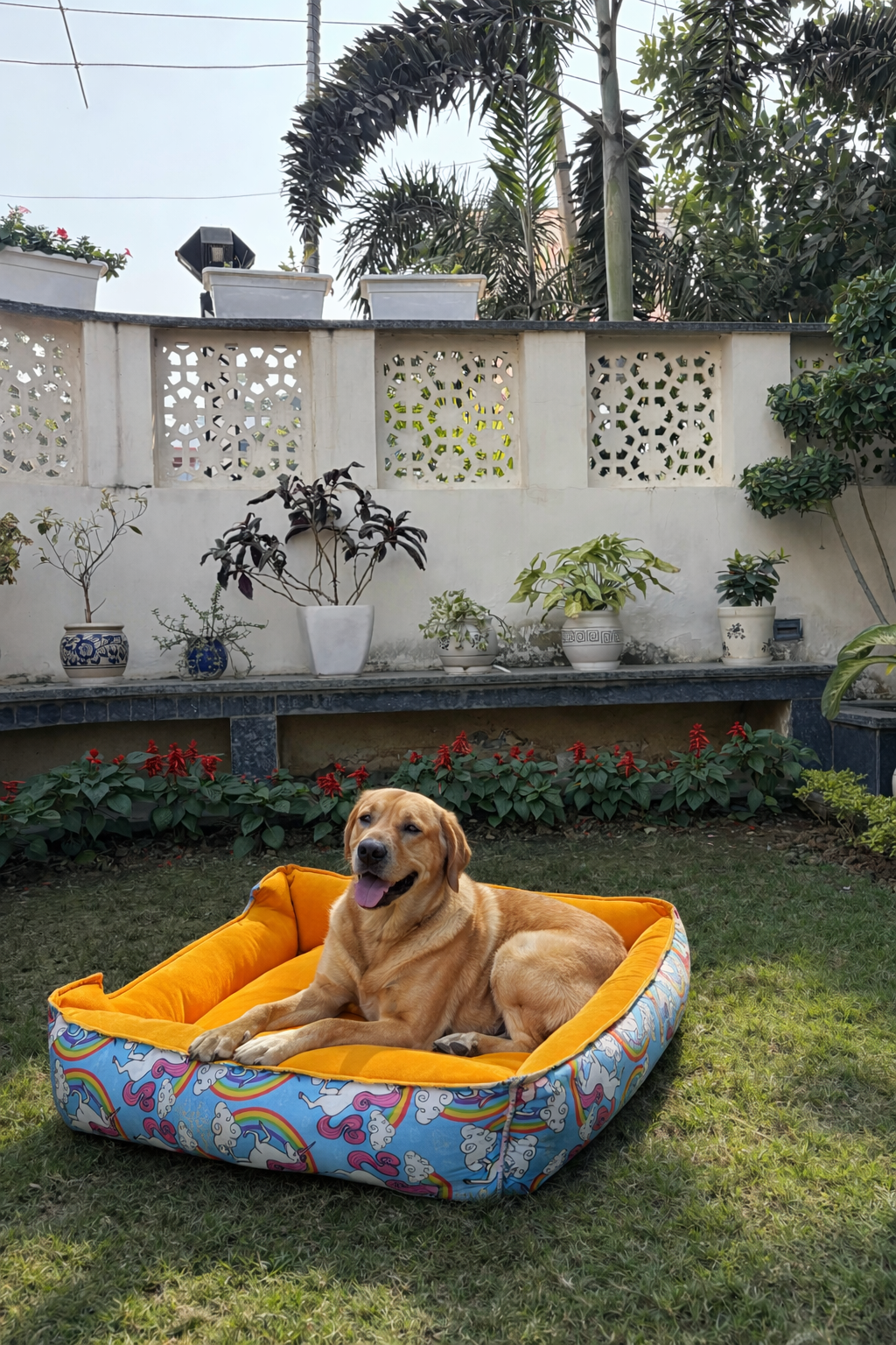 Premium Fully Washable Dog Bed for Medium & Large Dogs – Soft Cushioned & Stylish Comfort