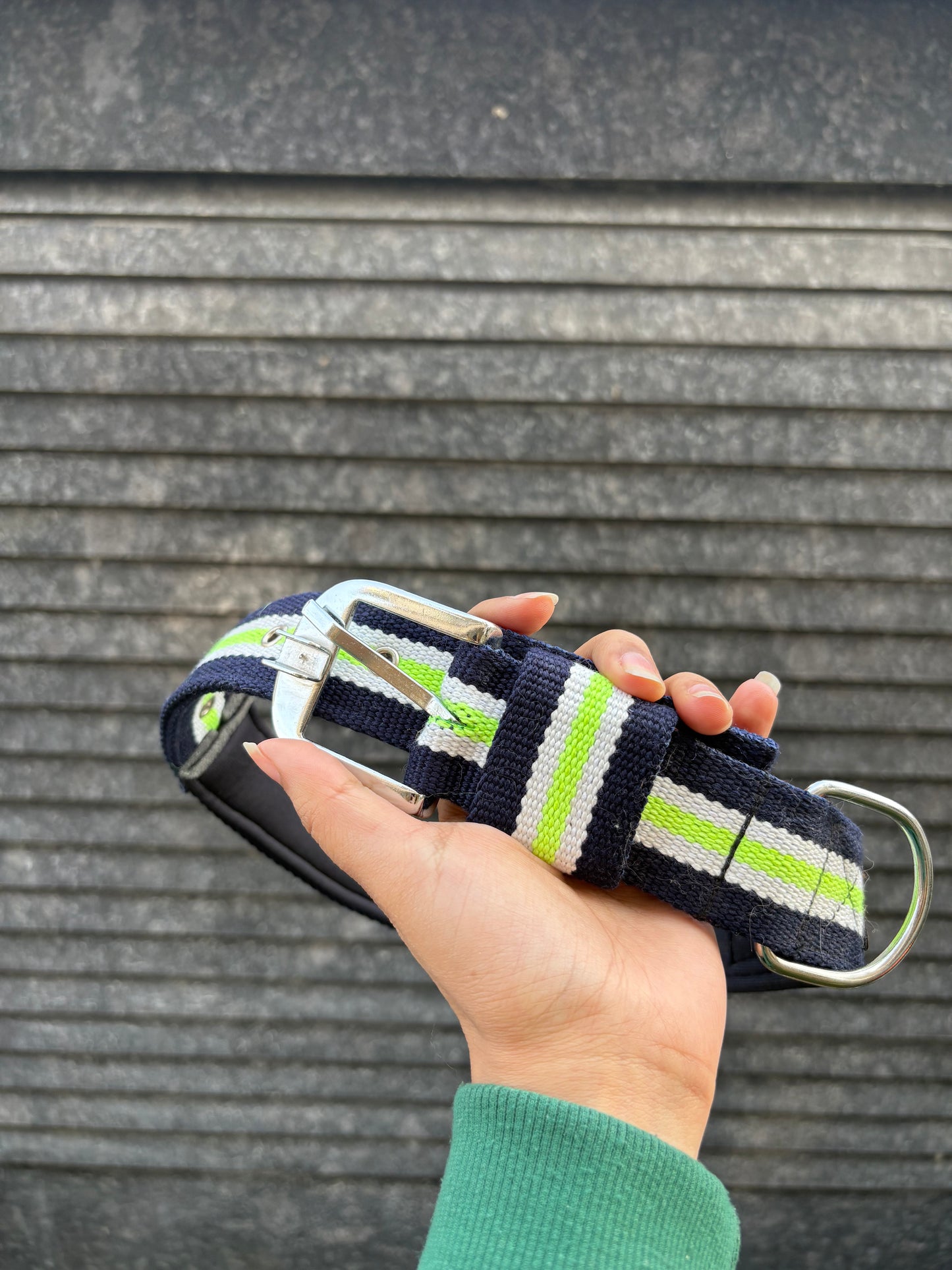 VetFirst Reflective Nylon Dog Leash with Padded Handle & Heavy-Duty Metal Clip – For Medium & Large Dogs