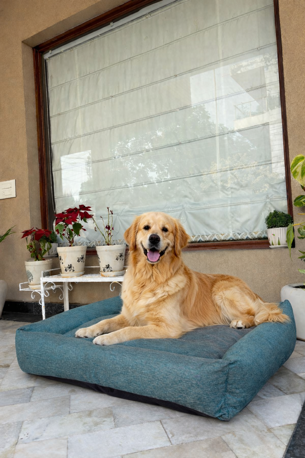 Washable Dog Bed | Removable Mattress & Zipper Cover