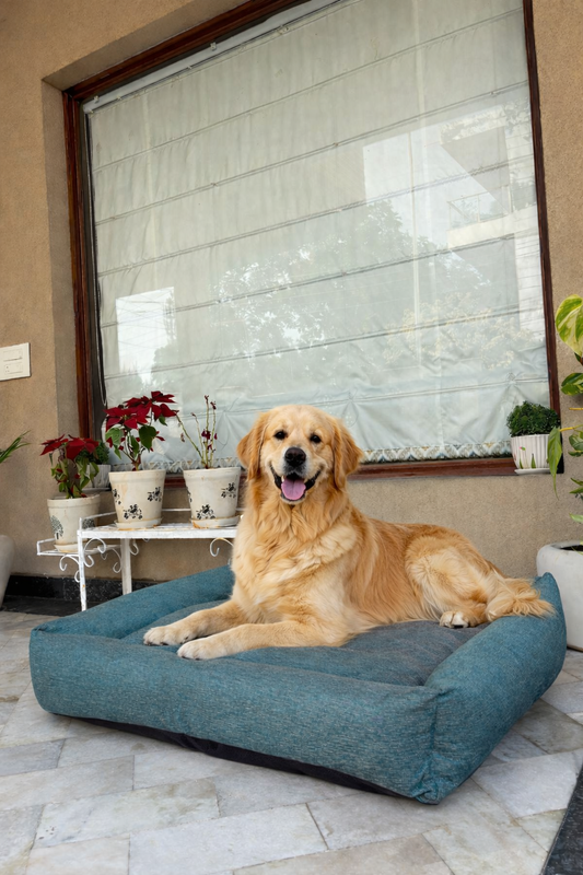 Washable Dog Bed | Removable Mattress & Zipper Cover